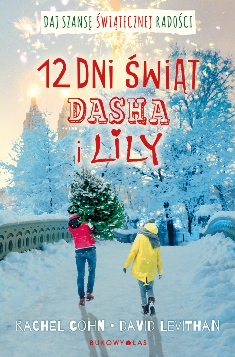 Kniha Dwanaście dni świąt Dasha i Lily Rachel Cohn