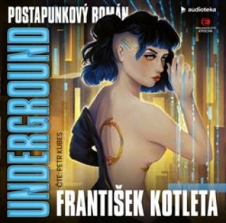 Audio Underground František Kotleta