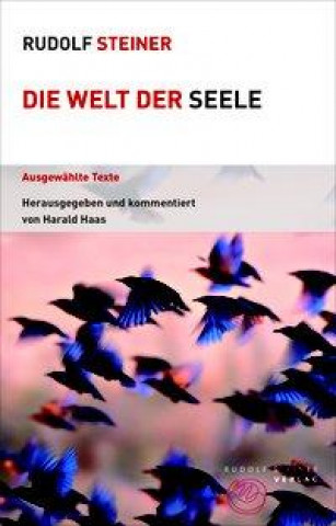 Buch Die Welt der Seele Harald Haas