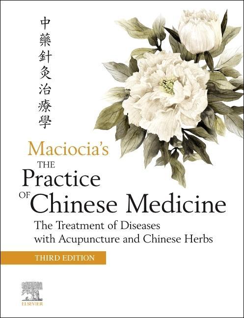 Kniha Practice of Chinese Medicine 