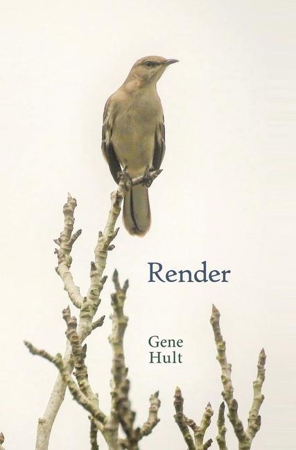 Libro Render Gene Hult