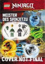 Kniha LEGO® NINJAGO® - Meister des Spinjitzu 