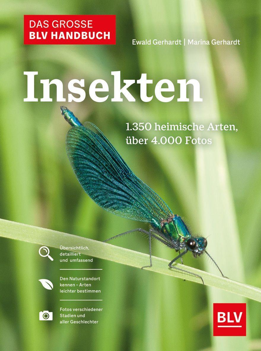 Carte Das große BLV Handbuch Insekten 