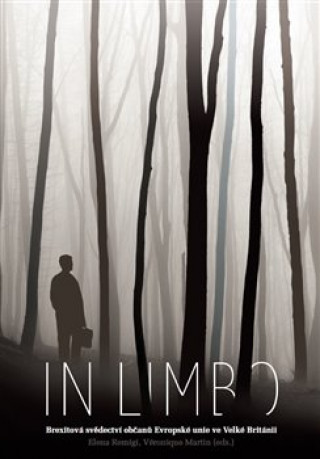 Könyv In Limbo Elena Remigi