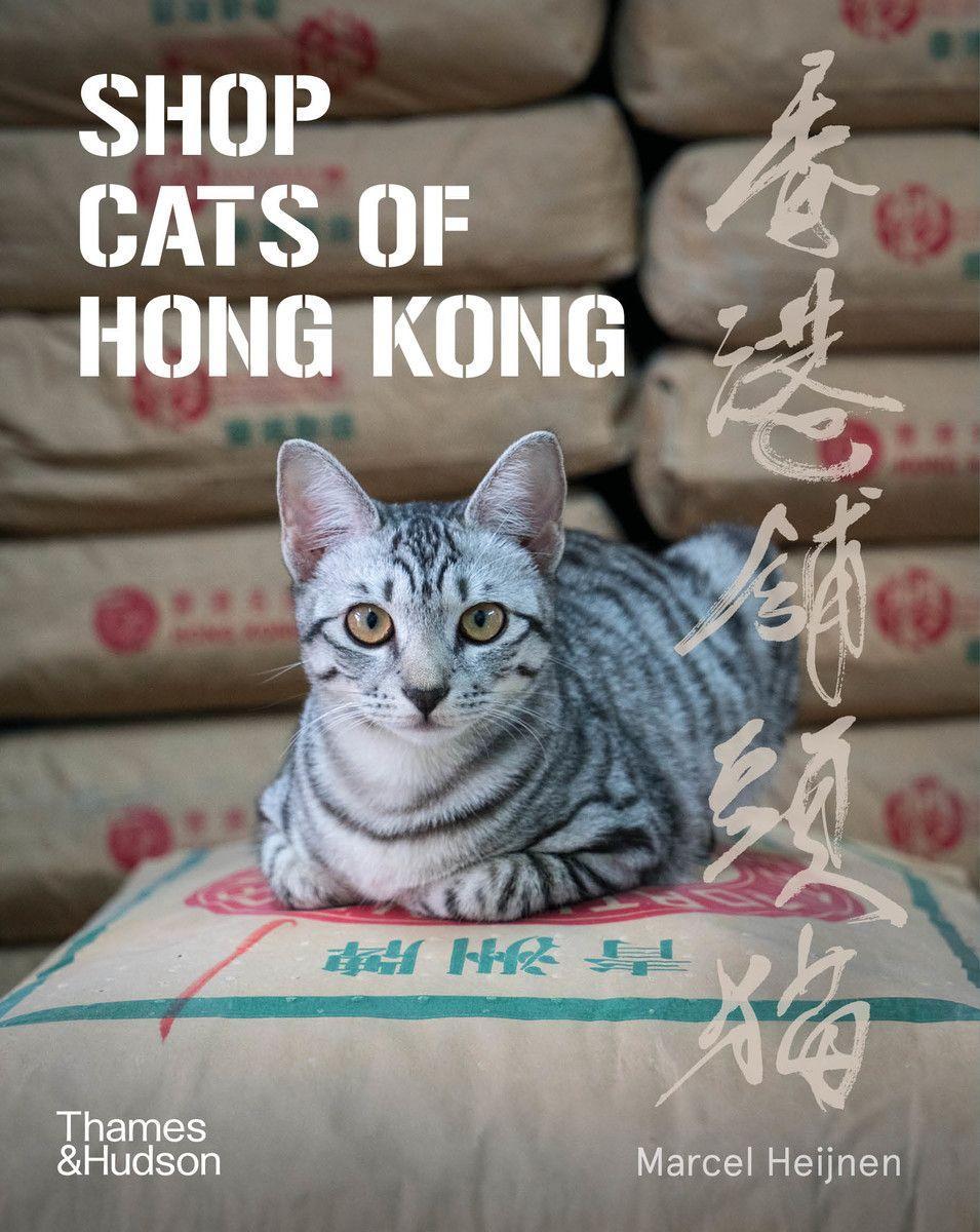 Könyv Shop Cats of Hong Kong Marcel Heijnen