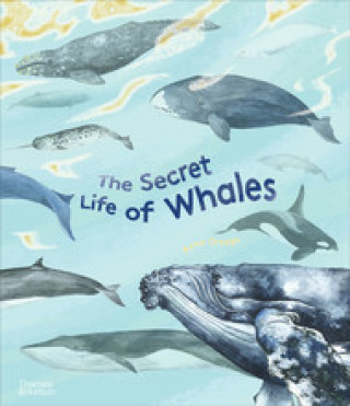 Kniha Secret Life of Whales Rena Ortega