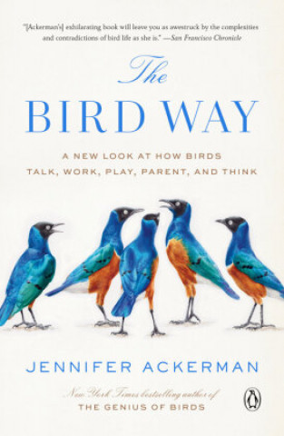Kniha Bird Way 