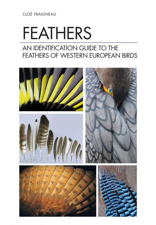 Kniha Feathers Cloe Fraigneau