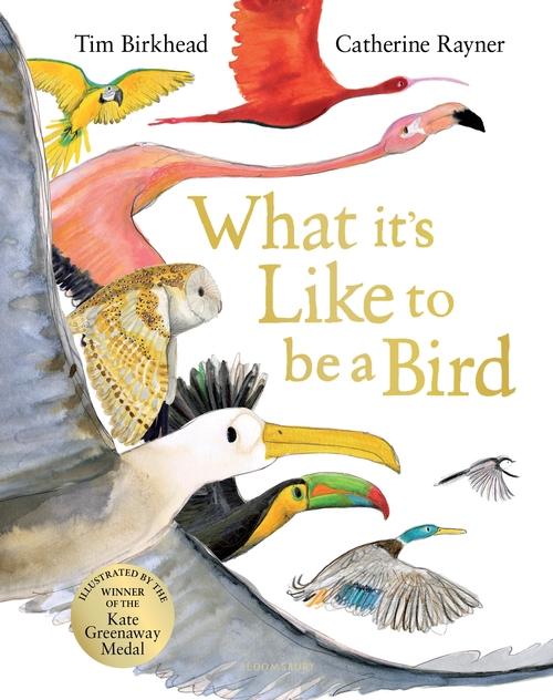 Carte What it's Like to be a Bird Tim Birkhead