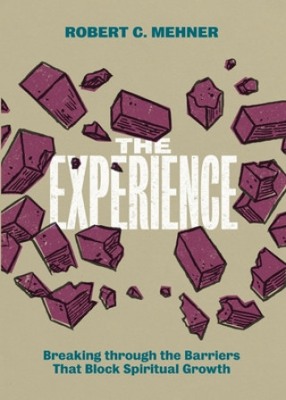 Knjiga Experience Mehner Robert C. Mehner