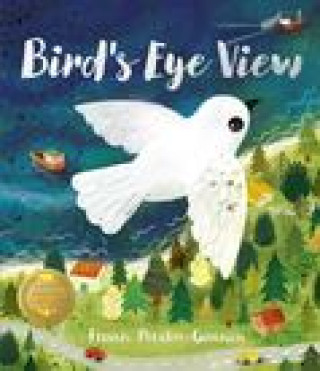 Kniha Bird's Eye View Frann Preston-Gannon