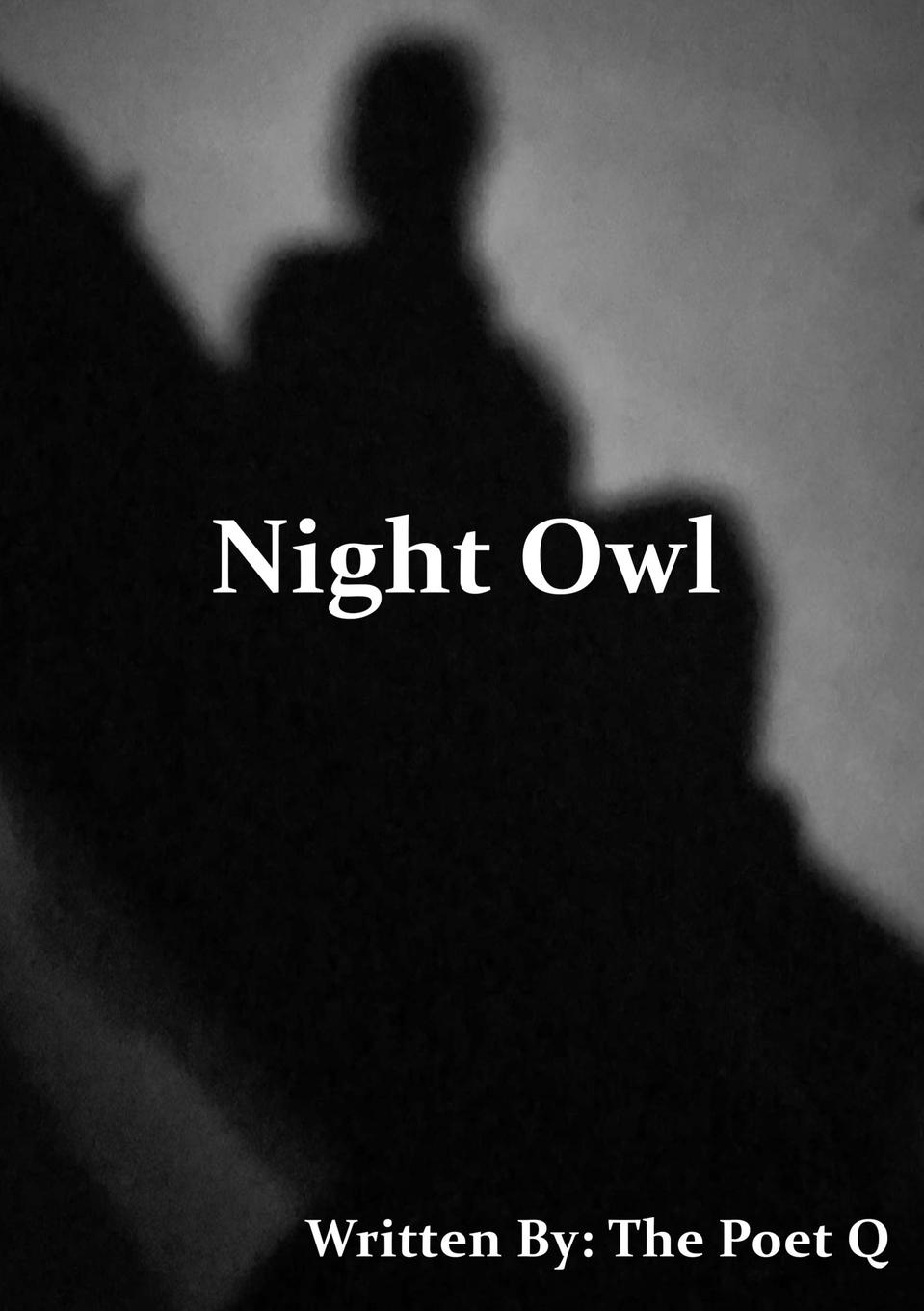 Knjiga Night Owl The Poet Q