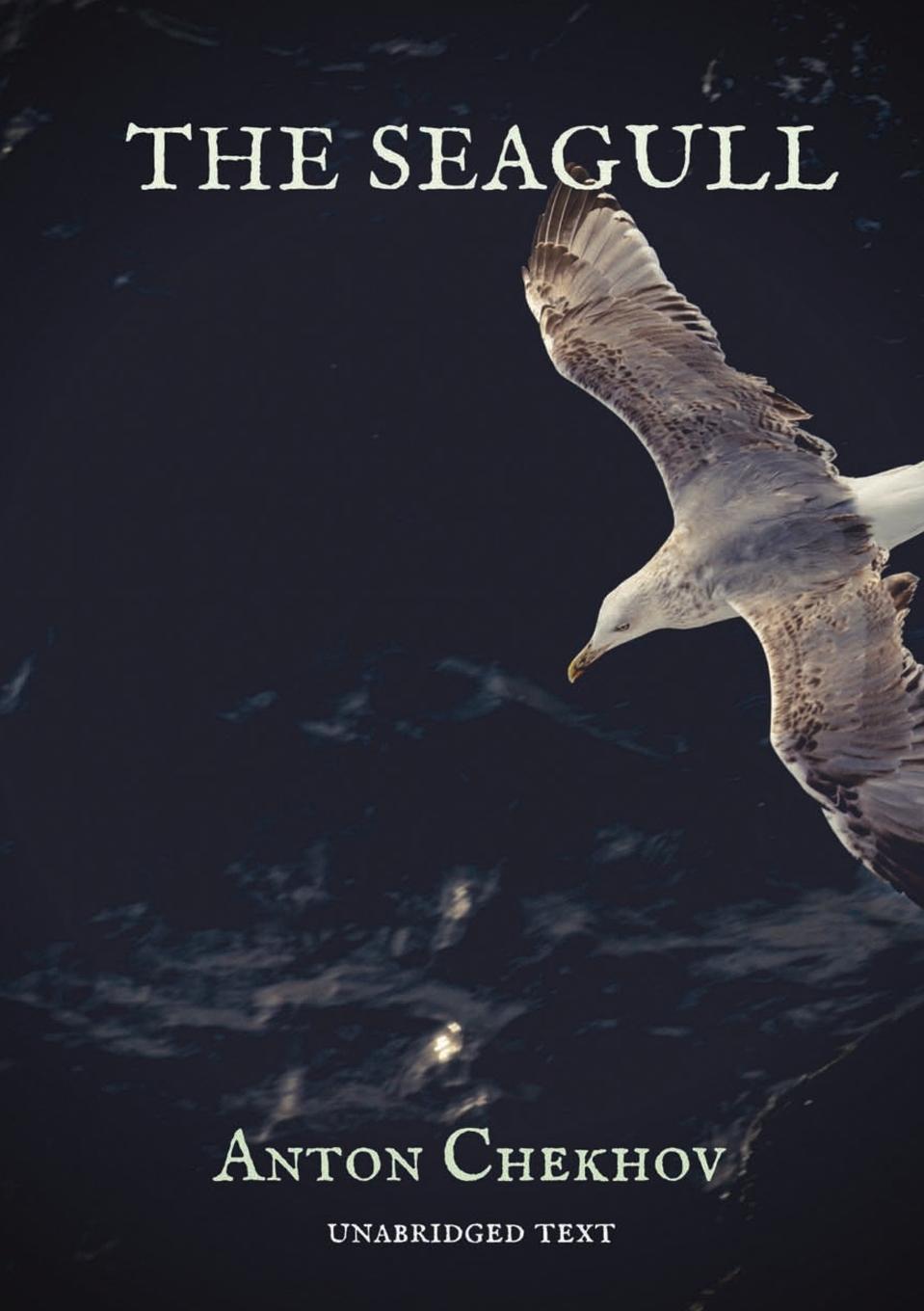 Knjiga The Seagull Anton Chekhov