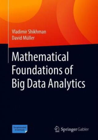 Carte Mathematical Foundations of Big Data Analytics Vladimir Shikhman