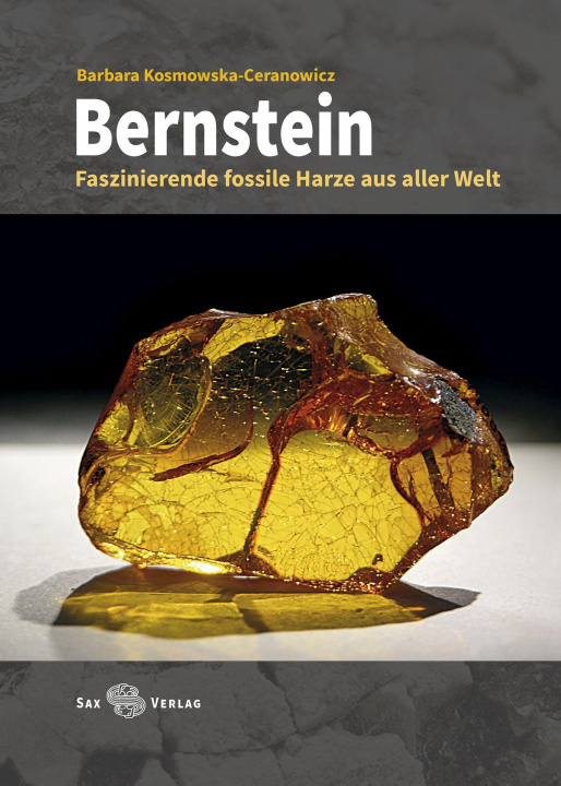 Knjiga Bernstein Anselm Krumbiegel