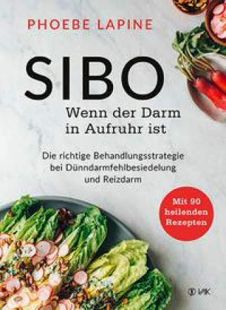 Knjiga SIBO - Wenn der Darm in Aufruhr ist Rotraud Oechsler