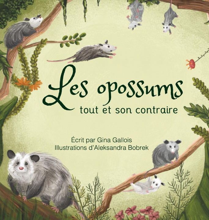 Carte Les opossums Maril?ne Haroux