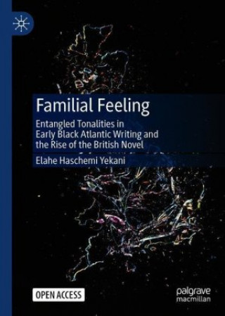 Knjiga Familial Feeling Elahe Haschemi Yekani
