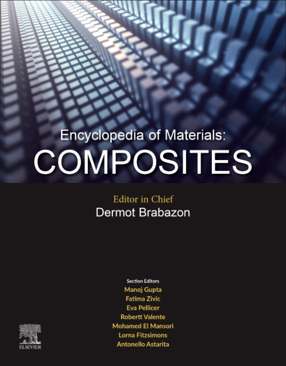 Kniha Encyclopedia of Materials: Composites 