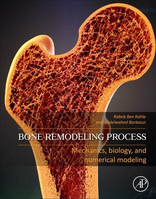 Knjiga Bone Remodeling Process Rabeb Kahla