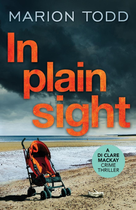 Book In Plain Sight Marion Todd