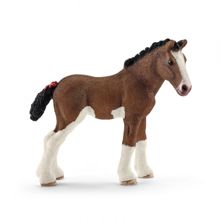 Książka Źrebię rasy Clydesdale SLH13810 