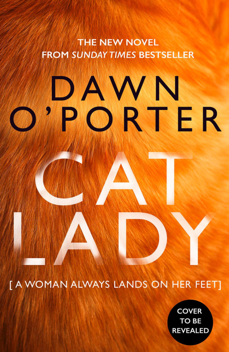 Kniha Cat Lady Dawn O'Porter