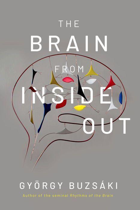 Könyv Brain from Inside Out 
