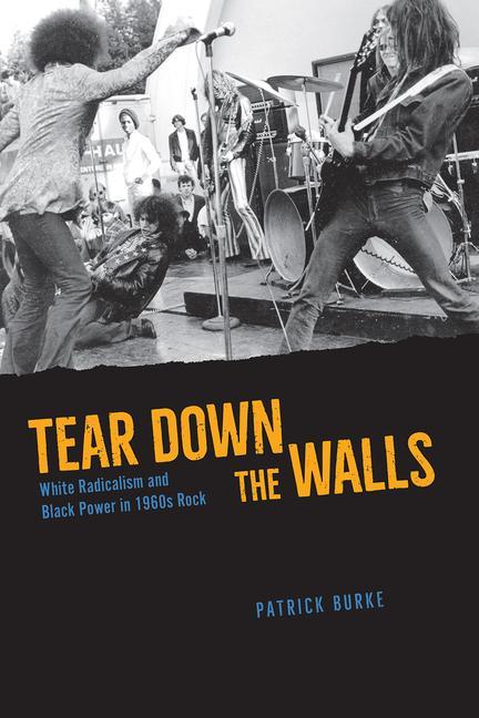 Kniha Tear Down the Walls PATRICK BURKE