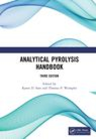 Kniha Analytical Pyrolysis Handbook SAM