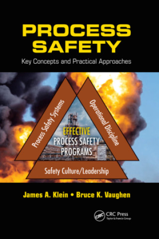 Knjiga Process Safety James A. Klein