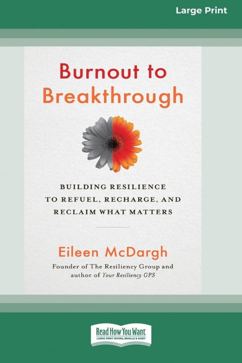 Knjiga Burnout to Breakthrough Eileen McDargh