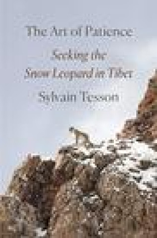 Könyv The Art of Patience: Seeking the Snow Leopard in Tibet Frank Wynne