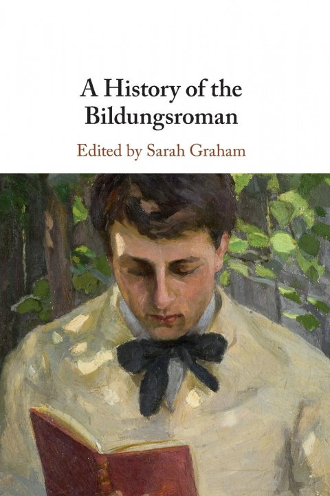 Kniha History of the Bildungsroman 