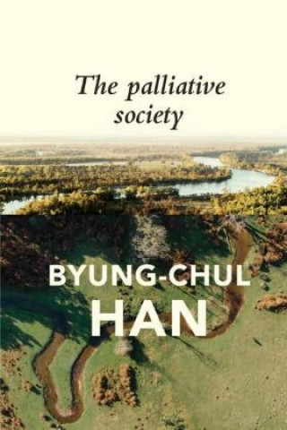 Book Palliative Society - Pain Today Byung-Chul Han