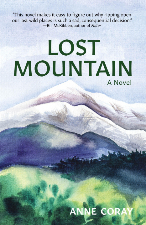 Kniha Lost Mountain Anne Coray