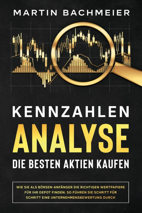 Kniha Kennzahlen-Analyse - Die besten Aktien kaufen 