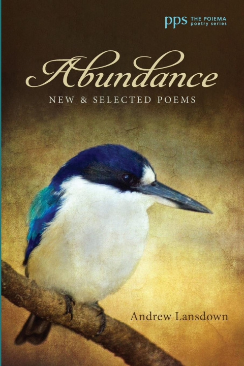 Knjiga Abundance Andrew Lansdown