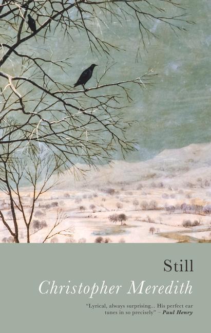 Book Still Christopher Meredith