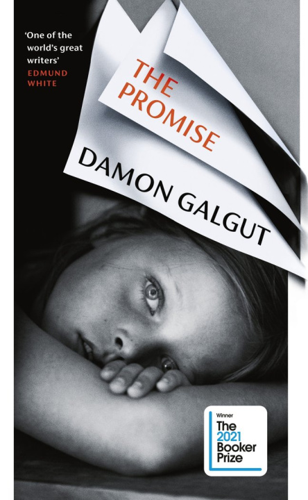 Książka The Promise Damon Galgut