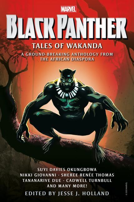 Könyv Black Panther: Tales of Wakanda 