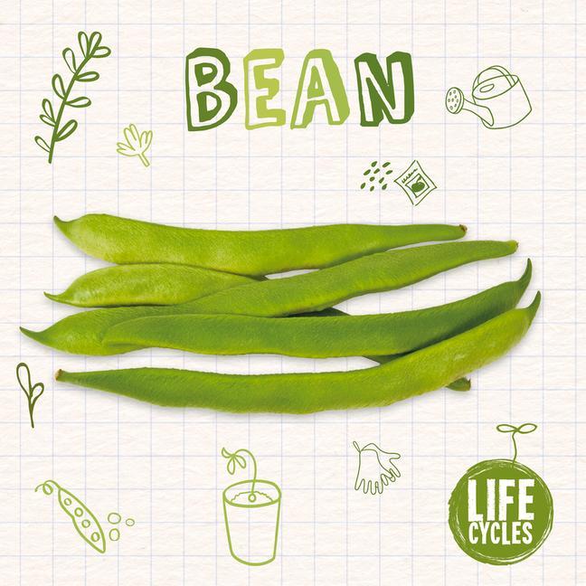 Knjiga Bean Kirsty Holmes