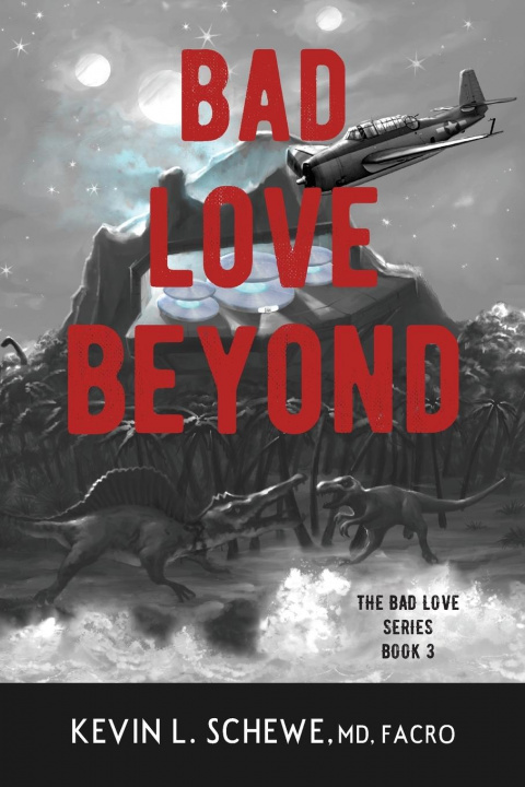Boek Bad Love Beyond Kevin L. Schewe