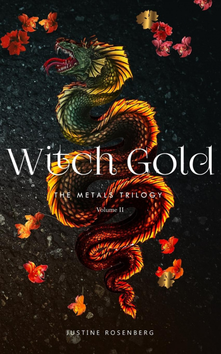 Kniha Witch Gold 