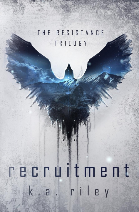 Boek Recruitment K. a. Riley