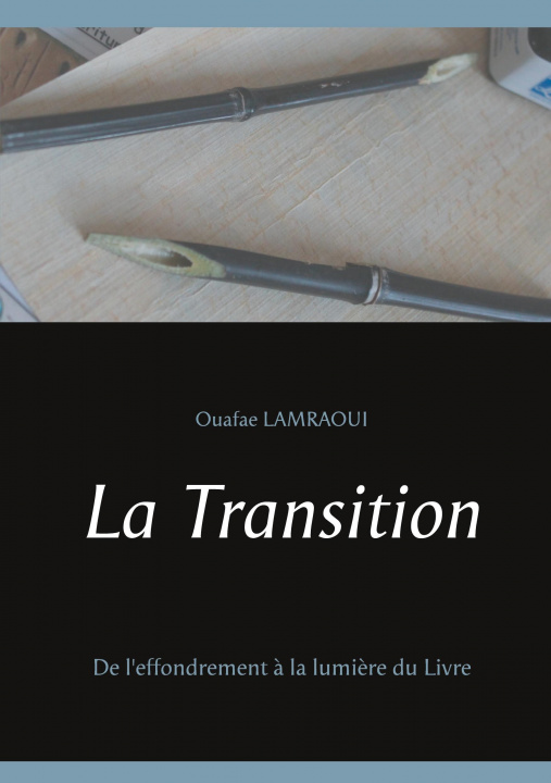 Книга Transition 