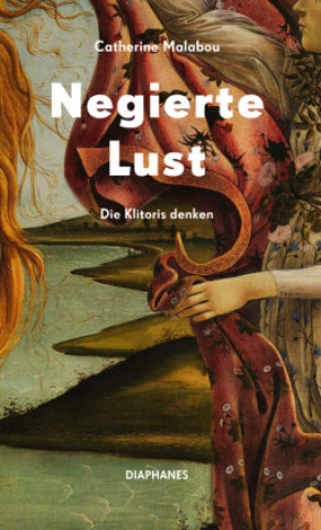 Knjiga Negierte Lust Luzia Gast