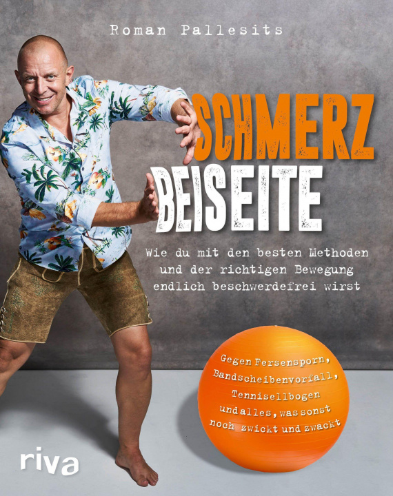 Knjiga Schmerz beiseite Roman Pallesits
