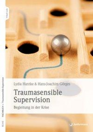 Knjiga Traumasensible Supervision Hans-Joachim Görges