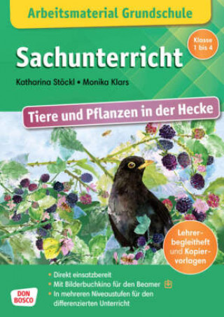 Könyv Arbeitsmaterial Grundschule. Sachunterricht: Tiere und Pflanzen in der Hecke Monika Klars